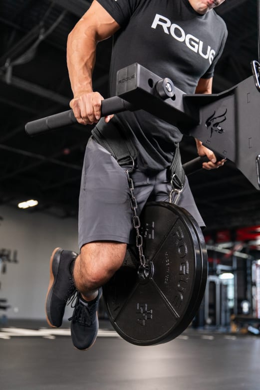 Rogue Echo Dip Belt – Durable Weighted Dip & Pull-Up Belt | Rogue